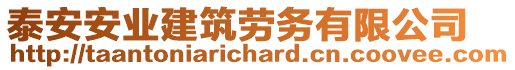 泰安安業(yè)建筑勞務(wù)有限公司