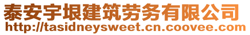 泰安宇垠建筑勞務有限公司