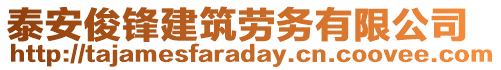 泰安俊锋建筑劳务有限公司