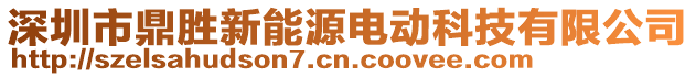 深圳市鼎勝新能源電動科技有限公司