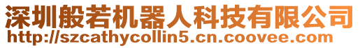 深圳般若機器人科技有限公司