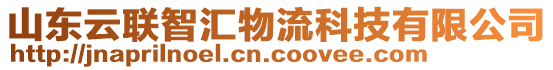 山東云聯(lián)智匯物流科技有限公司