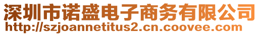 深圳市諾盛電子商務有限公司