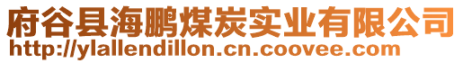 府谷縣海鵬煤炭實業(yè)有限公司