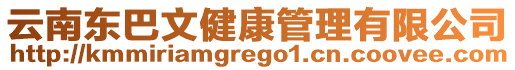 云南東巴文健康管理有限公司