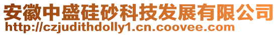 安徽中盛硅砂科技發(fā)展有限公司