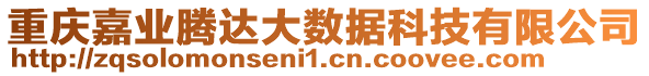 重慶嘉業(yè)騰達(dá)大數(shù)據(jù)科技有限公司