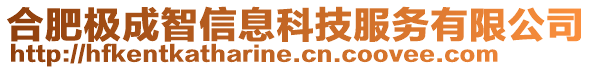 合肥極成智信息科技服務(wù)有限公司