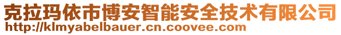 克拉瑪依市博安智能安全技術(shù)有限公司