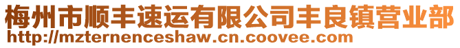 梅州市順豐速運有限公司豐良鎮(zhèn)營業(yè)部