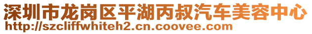 深圳市龍崗區(qū)平湖丙叔汽車美容中心