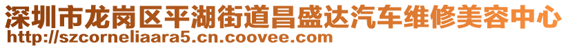 深圳市龍崗區(qū)平湖街道昌盛達(dá)汽車(chē)維修美容中心