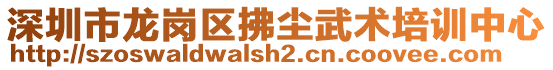 深圳市龍崗區(qū)拂塵武術(shù)培訓(xùn)中心