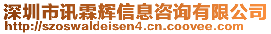 深圳市訊霖輝信息咨詢有限公司