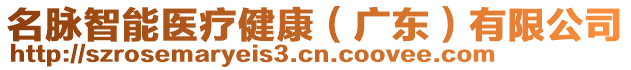 名脈智能醫(yī)療健康（廣東）有限公司