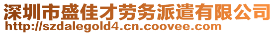 深圳市盛佳才勞務(wù)派遣有限公司