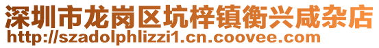 深圳市龙岗区坑梓镇衡兴咸杂店