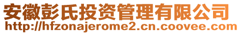 安徽彭氏投資管理有限公司