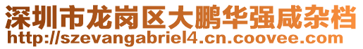 深圳市龙岗区大鹏华强咸杂档