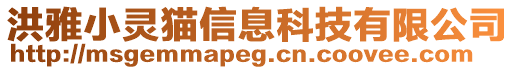 洪雅小靈貓信息科技有限公司