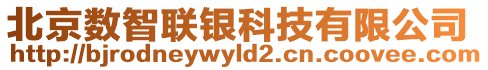 北京數(shù)智聯(lián)銀科技有限公司