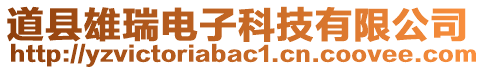 道縣雄瑞電子科技有限公司