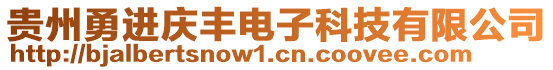 貴州勇進慶豐電子科技有限公司