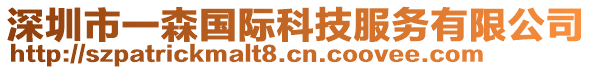 深圳市一森国际科技服务有限公司