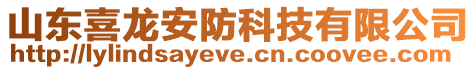 山东喜龙安防科技有限公司