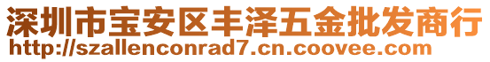 深圳市宝安区丰泽五金批发商行