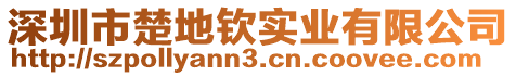 深圳市楚地欽實業(yè)有限公司