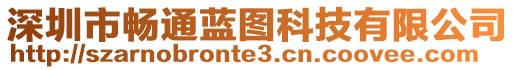 深圳市暢通藍(lán)圖科技有限公司