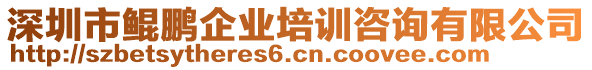 深圳市鯤鵬企業(yè)培訓(xùn)咨詢有限公司