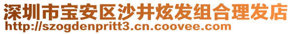 深圳市寶安區(qū)沙井炫發(fā)組合理發(fā)店