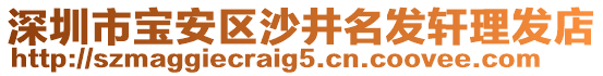 深圳市寶安區(qū)沙井名發(fā)軒理發(fā)店