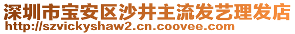 深圳市寶安區(qū)沙井主流發(fā)藝?yán)戆l(fā)店