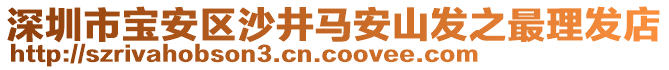 深圳市寶安區(qū)沙井馬安山發(fā)之最理發(fā)店