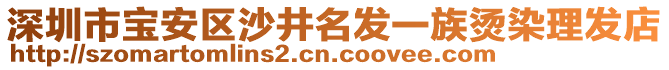 深圳市寶安區(qū)沙井名發(fā)一族燙染理發(fā)店