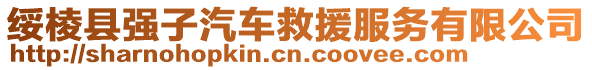 綏棱縣強子汽車救援服務有限公司