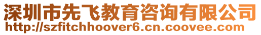 深圳市先飛教育咨詢有限公司