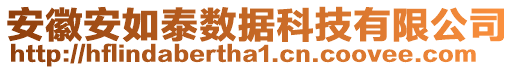 安徽安如泰數(shù)據(jù)科技有限公司