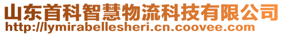 山東首科智慧物流科技有限公司