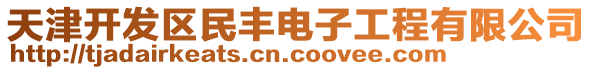 天津開發(fā)區(qū)民豐電子工程有限公司