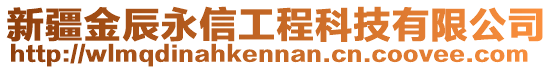 新疆金辰永信工程科技有限公司