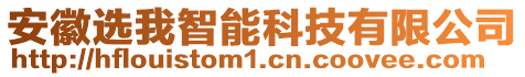 安徽選我智能科技有限公司