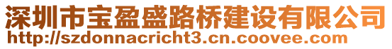 深圳市寶盈盛路橋建設(shè)有限公司