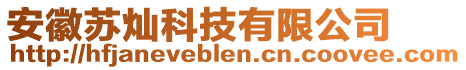 安徽蘇燦科技有限公司