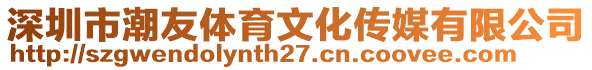 深圳市潮友體育文化傳媒有限公司