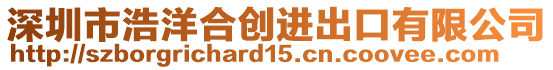 深圳市浩洋合創(chuàng)進出口有限公司