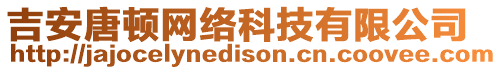 吉安唐頓網(wǎng)絡(luò)科技有限公司